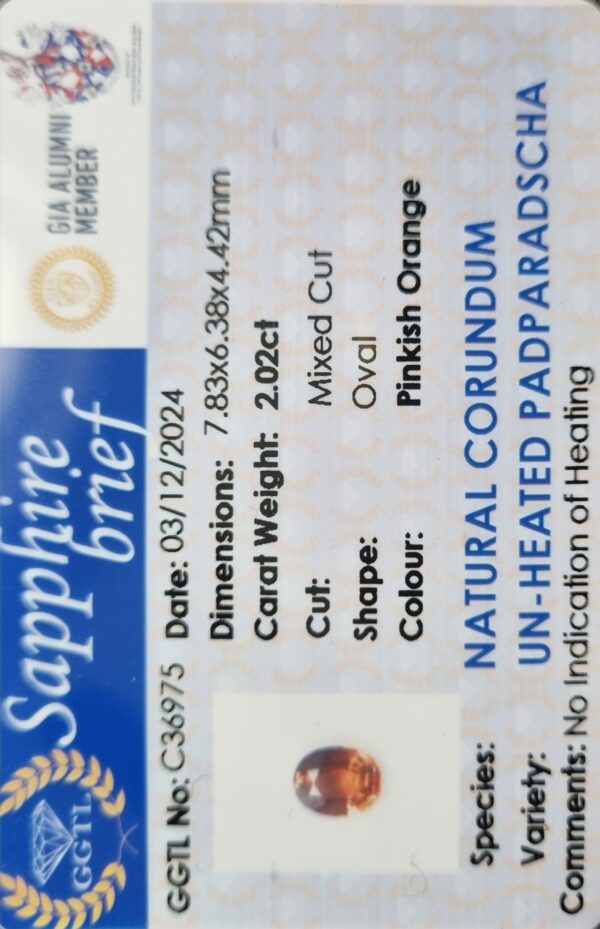 Identification